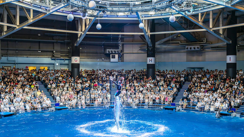 涼しく楽しく水族館コン♡のメインイメージ