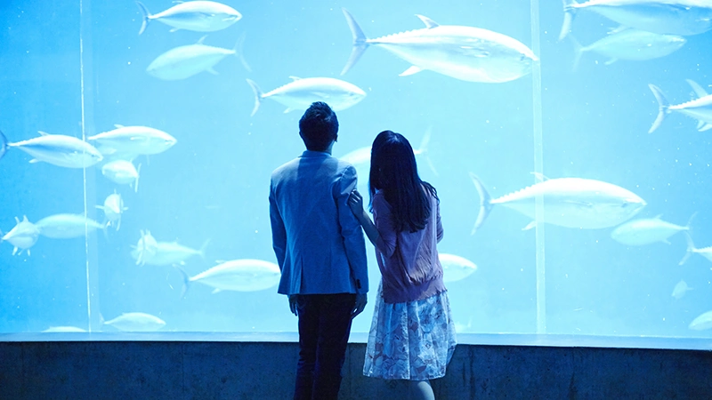 男性お勧め♡女性に人気の水族館コン♡のメインイメージ